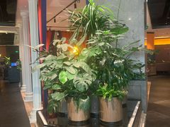 -半秋山西餐厅(巴南万达广场店)