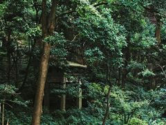 -黔灵山公园