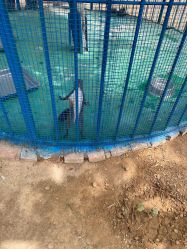 -萌宠亲子动物乐园(槐房万达店)