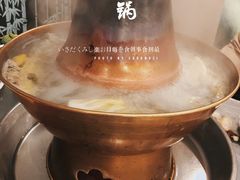 -鑫龙火锅城(青岛分店)