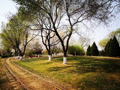 -永定河休闲森林公园