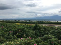 -富田农场