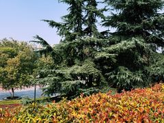 -环城公园-琥珀潭