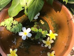 -清迈女子监狱马杀鸡(无分店)