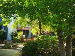 -中家鑫园温泉酒店鑫悦汤泉