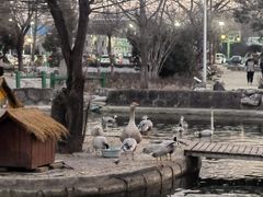 -北京市海淀外国语实验学校