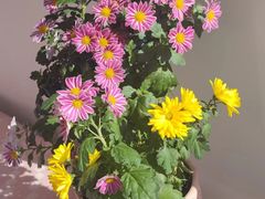 -若石足道SPA 连锁(丹东街店)