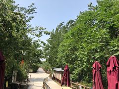 -北京麋鹿生态实验中心