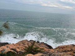 -广东惠东海龟国家级自然保护区
