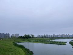-洋湖国家湿地公园