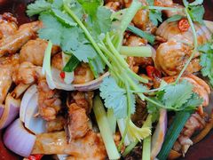 鸡煲-胡须佬鸡煲四季火锅(龙珠大道店)