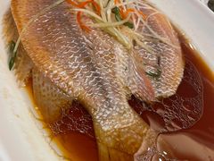 -华盛丰温州大排档(东三环南路店)