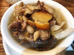 -马帮菜馆·美味野生菌