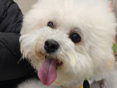 -安安宠医宠物医院·异宠·犬猫内科(岳阳分院)