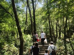 -驼梁风景区