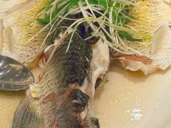 -稻香酒家·34年老字号·港式粤菜(侨光店)