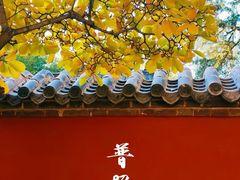 -都江堰普照寺