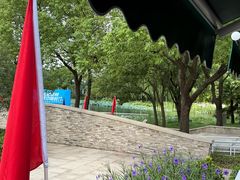 -新江湾城公园
