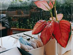 -永泰福朋喜来登酒店-宜客乐自助餐厅(远大路店)