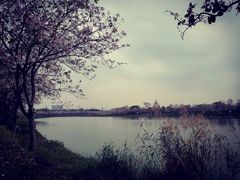 -海珠湖公园