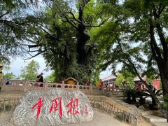 -大槐树寻根祭祖园