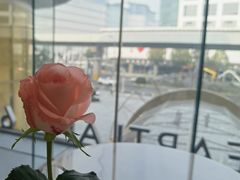 -Angelina安吉丽娜(恒隆广场店)
