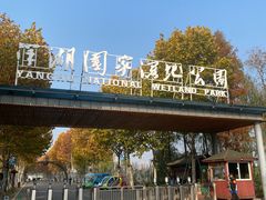 -洋湖国家湿地公园