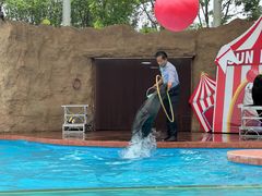 -太阳岛沙滩泳场水上乐园