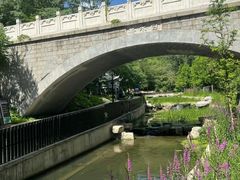-白水寺森林公园