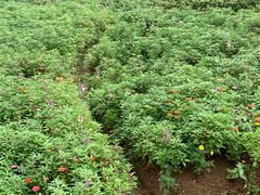 -盘龙城遗址博物院