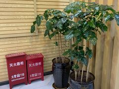 -啄木鸟美国留学(顺城东塔店)