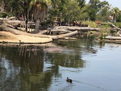 -威勒比开放式动物园