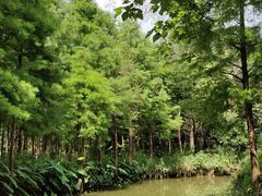 -尚湖风景区