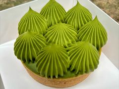 抹茶挞-猫里有甜