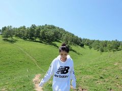 -关山草原