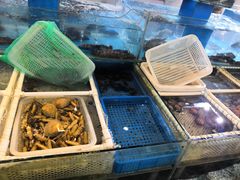 -乔家小院•本地小海鲜•非遗驴肉(万年泉路店)