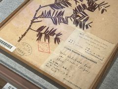 -四川大学博物馆