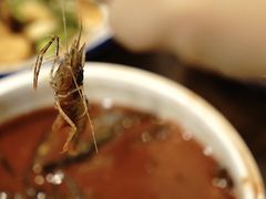 -兰边碗(鼓楼店)