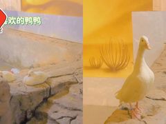 -昆明大悦城未来动物城(螺蛳湾中心店)