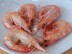 白灼大海虾-鹏城人家海鲜酒家·23年老字号(较场尾店)