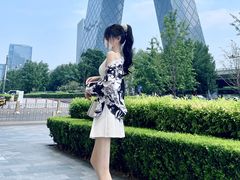 -中央广播电视总台(光华路办公区)