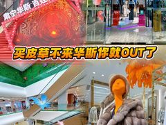 -肃宁华斯国际裘皮城