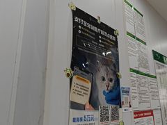 -思琪宠物医院(昆山花桥店)