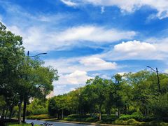 -新江湾城公园