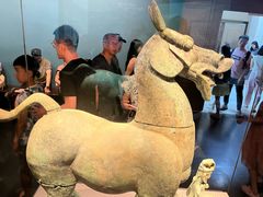 -广西壮族自治区博物馆