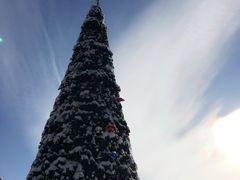 -中旅松花湖滑雪场