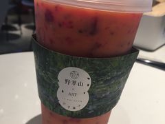 -野萃山·潮汕厚果汁(十亩地店)