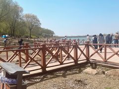 -丁香湖公园