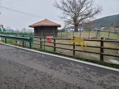 -苏州太湖西山岛开心农场
