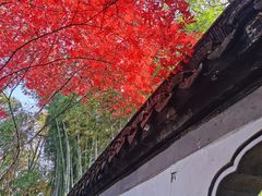 -秋霞圃